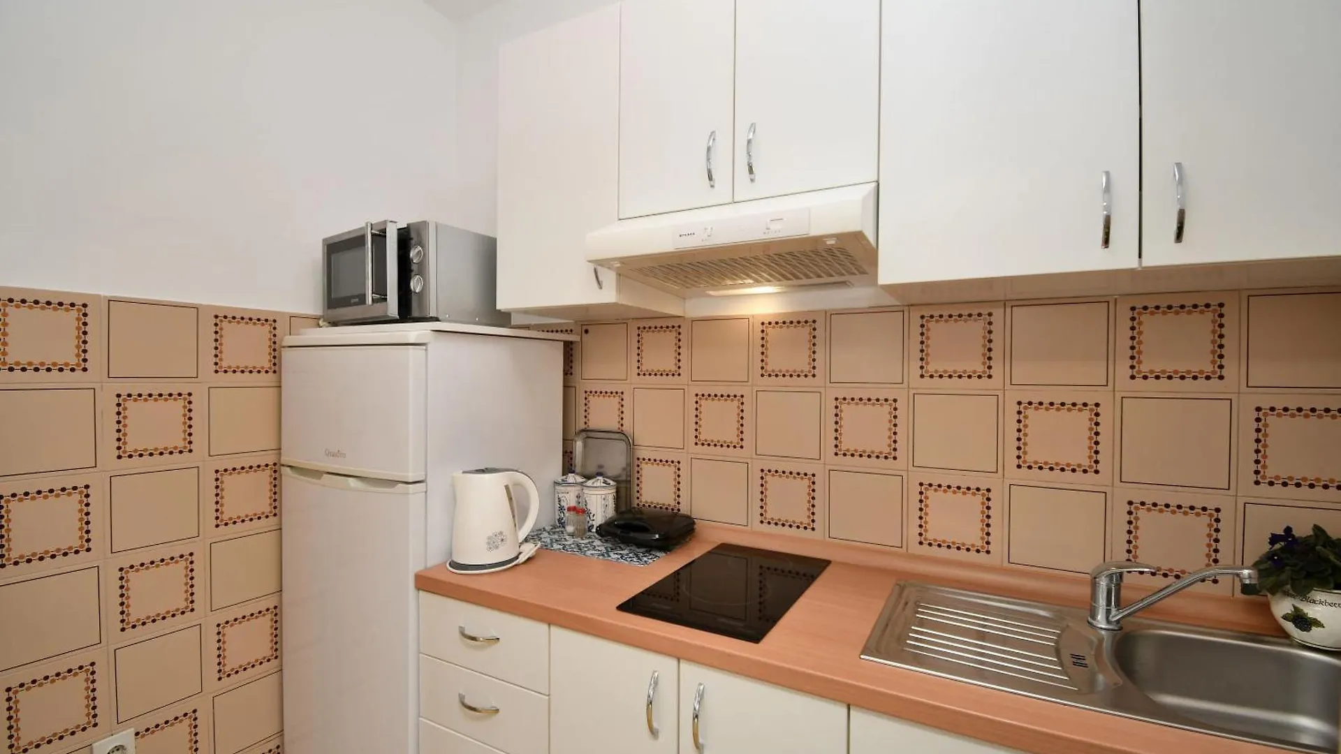 Apartment Elizabeta Umag Croatia